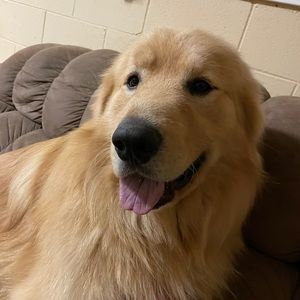 Meet your Posher, Ethan